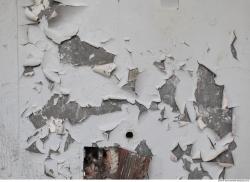 Photo Texture of Wall Plaster